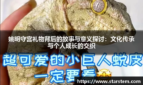 姚明守宫礼物背后的故事与意义探讨：文化传承与个人成长的交织