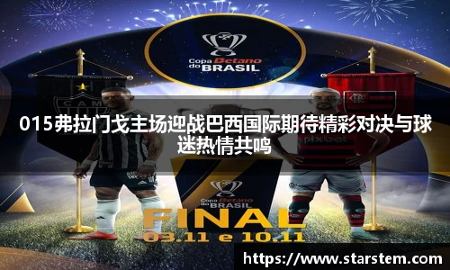 015弗拉门戈主场迎战巴西国际期待精彩对决与球迷热情共鸣